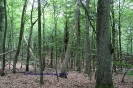 Eifel 2014_3