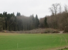 Erste Fällungsarbeiten Jagsthausen-WEA3_5