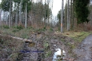 Fällungen in großem Stil_5