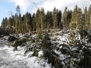 Sturmschaeden Egon
